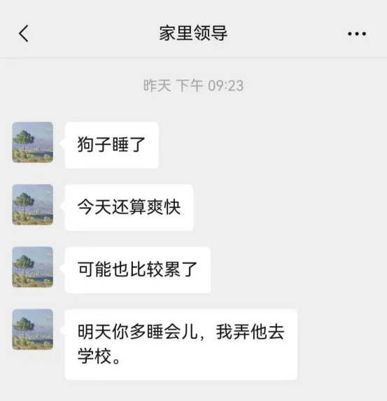 警高级执法, 年级的儿子, bt