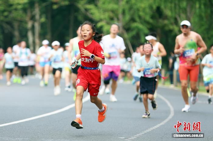 cente, msn, img cente, msn, img