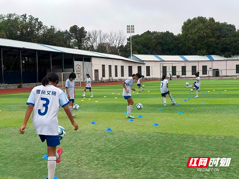 年足球训练, 据库的人才 年足球训练, 据库的人才